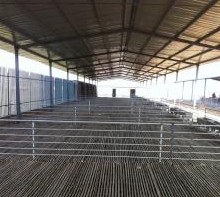 山羊圈舍建筑基本要求