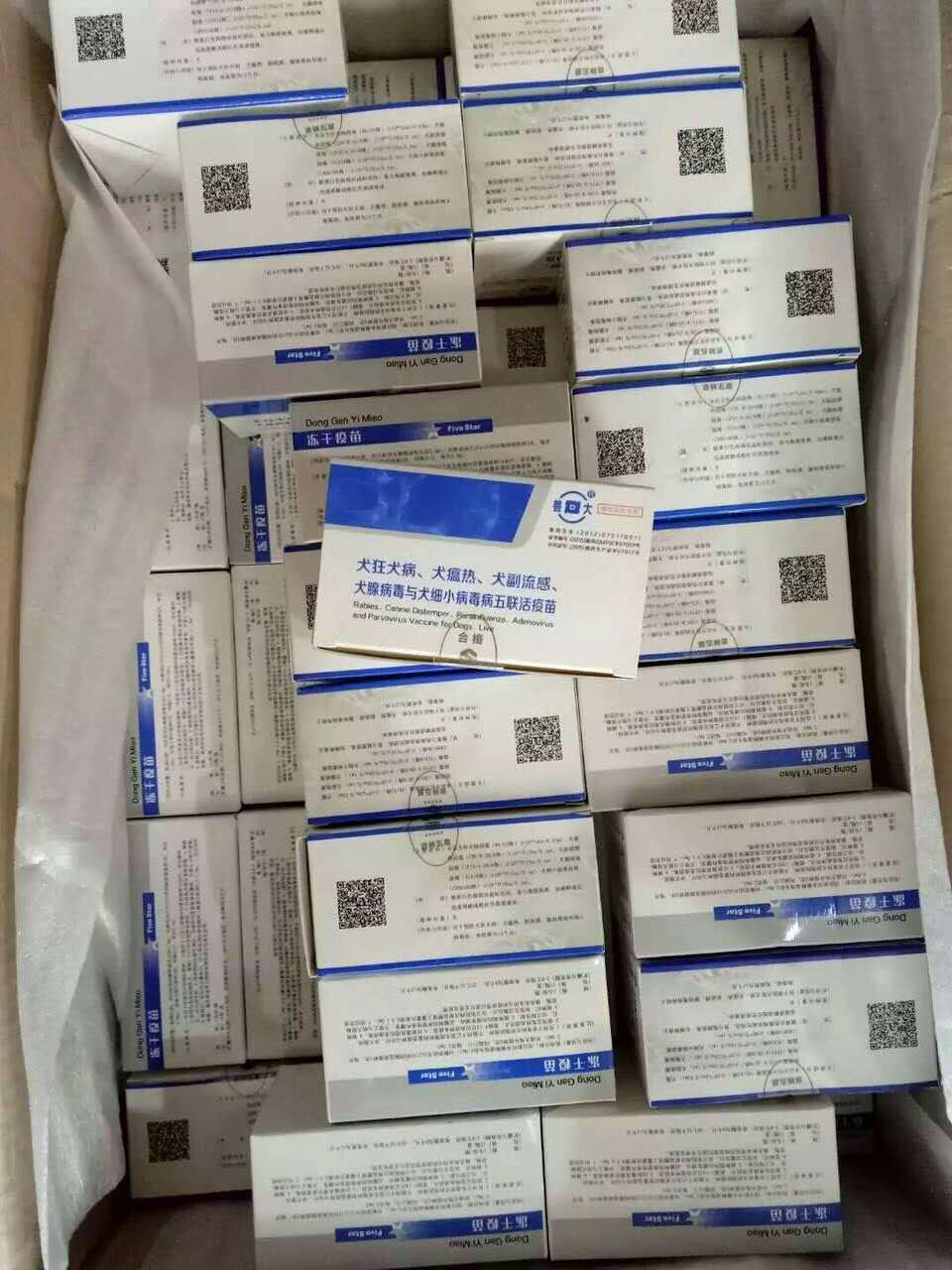 犬五联疫苗  吉林五